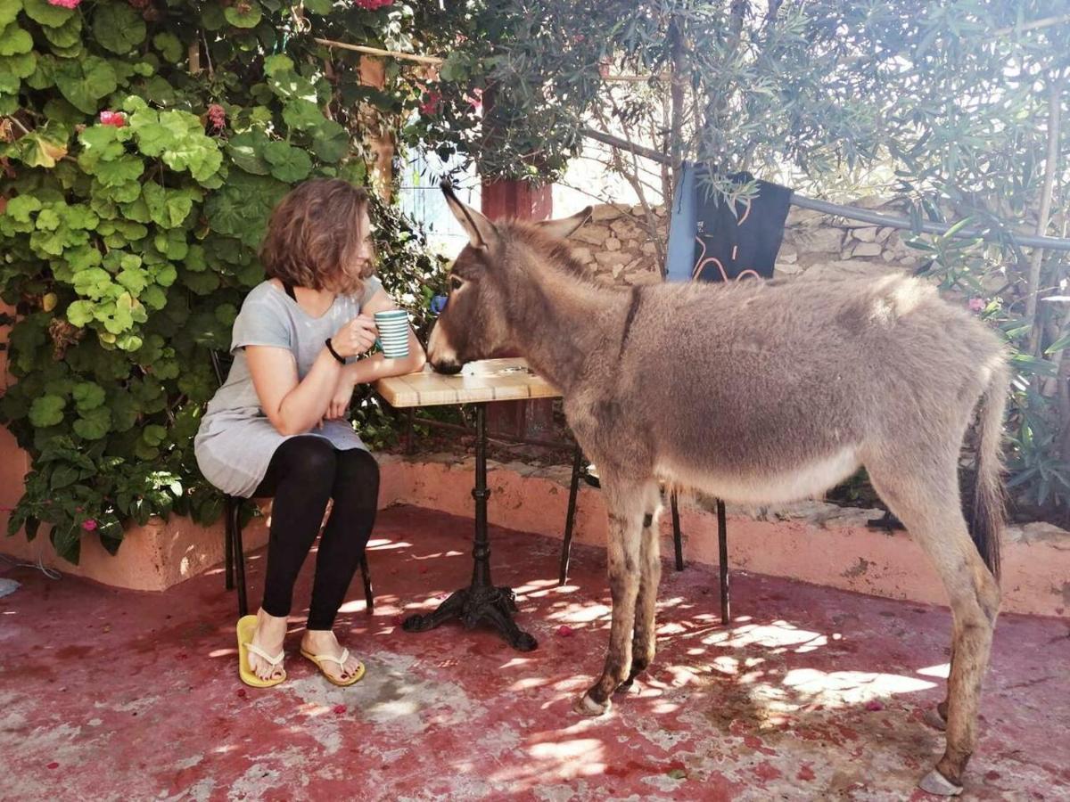 Surf Housemaroc Hostel เอสเซาอิรา ภายนอก รูปภาพ