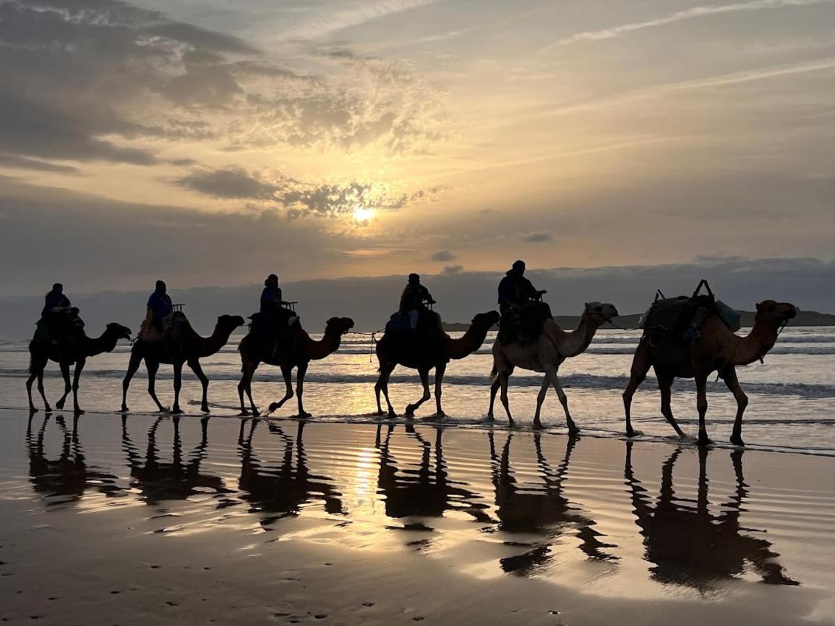 Surf Housemaroc Hostel เอสเซาอิรา ภายนอก รูปภาพ