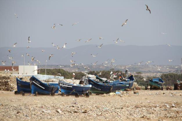 Surf Housemaroc Hostel เอสเซาอิรา ภายนอก รูปภาพ
